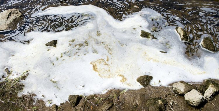 firefighting foam pollutes a waterway