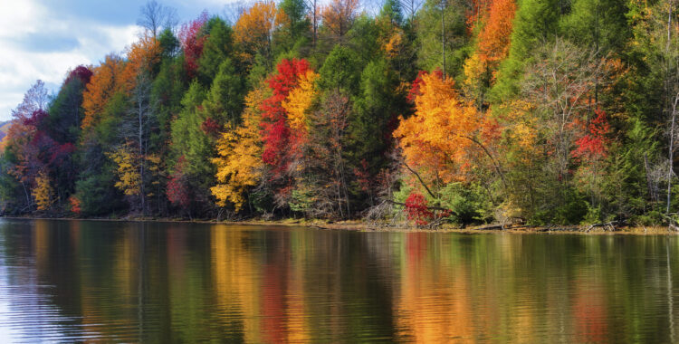 A beautiful Tennessee river winding through trees with fall colored leaves